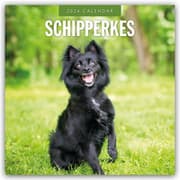 Cover von Schipperkes - Schipperke - Kleiner Schäferhund 2026 - 16-Monatskalender