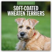 Cover von Soft-Coated Wheaten Terriers - Soft-Coated Wheaten Terrier 2026 - 16-Monatskalender