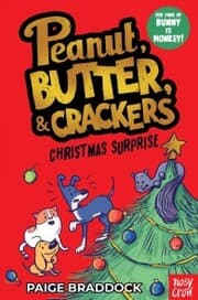 Cover von Christmas Surprise