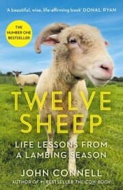 Cover von Twelve Sheep
