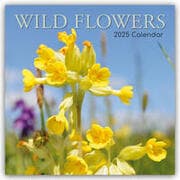 Cover von Wild Flowers - Wildblumen 2025 - 16-Monatskalender