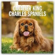 Cover von Cavalier King Charles Spaniels/Cavalier King Charles Spaniel 2027