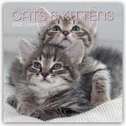 Cover von Cats and Kittens - Katzen und Kätzchen 2025 - 16-Monatskalender