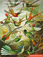 Cover von Puzzle - Ernst Haeckel, Kolibris