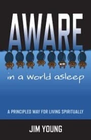 Cover von Aware In A World Asleep: A Principled Wa