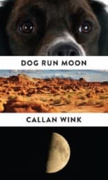 Cover von Dog Run Moon