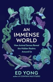 Cover von An Immense World
