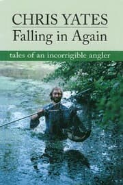 Cover von Falling in Again