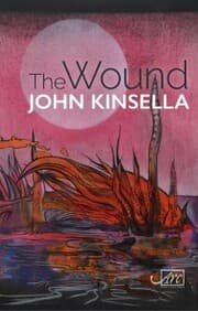 Cover von The Wound