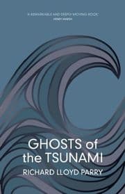 Cover von Ghosts of the Tsunami