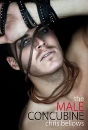 Cover von The Male Concubine