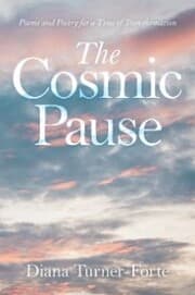 Cover von The Cosmic Pause