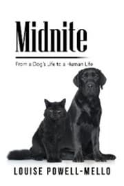 Cover von Midnite