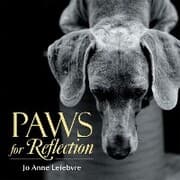Cover von Paws for Reflection