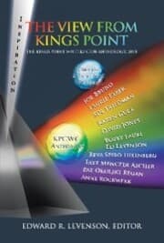 Cover von The View from Kings Point