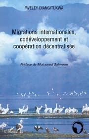 Cover von Migrations internationales, codéveloppement et coopération décentralisée