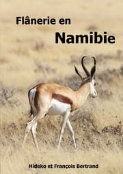 Cover von Flânerie en Namibie