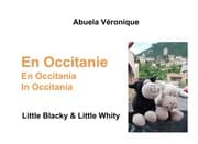 Cover von En Occitanie