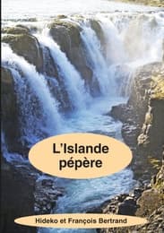 Cover von L'Islande pépère