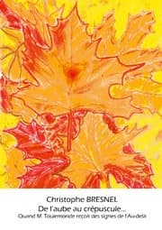 Cover von De l'aube au crépuscule...