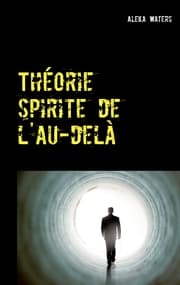Cover von Théorie spirite de l'au-delà