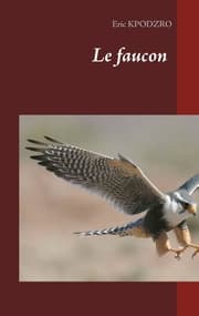 Cover von Le faucon