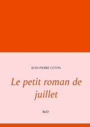 Cover von Le petit roman de juillet