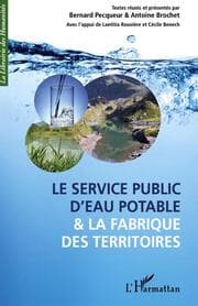 Cover von Le service public d'eau potable et la fabrique des territoires
