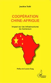 Cover von Coopération Chine-Afrique