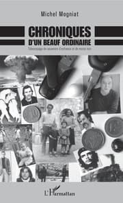 Cover von Chroniques d'un beauf ordinaire