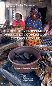 Cover von Afrique, développement durable et coopération internationale