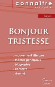 Cover von Fiche de lecture Bonjour tristesse de Françoise Sagan (Analyse littéraire de référence et résumé complet)
