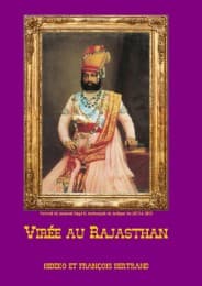Cover von Virée au Rajasthan