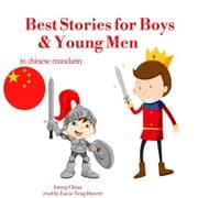 Cover von Best Stories for Boys and Young Men in chinese mandarin