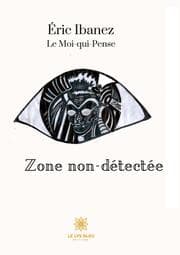 Cover von Zone non-détectée