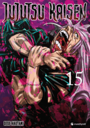 Cover von Jujutsu Kaisen - Band 15