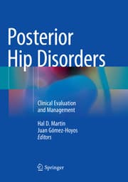 Cover von Posterior Hip Disorders