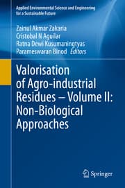 Cover von Valorisation of Agro-industrial Residues - Volume II: Non-Biological Approaches