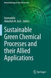 Cover von Sustainable Green Chemical Processes and their Allied Applications
