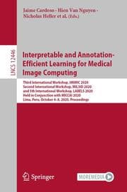 Cover von Interpretable and Annotation-Efficient Learning for Medical Image Computing