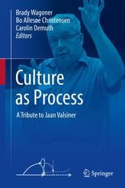 Cover von Culture as Process