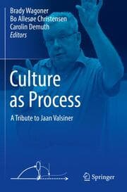 Cover von Culture as Process