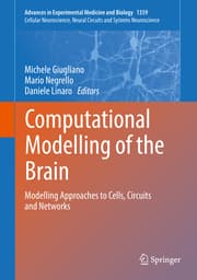 Cover von Computational Modelling of the Brain