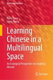Cover von Learning Chinese in a Multilingual Space