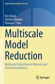 Cover von Multiscale Model Reduction
