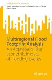 Cover von Multiregional Flood Footprint Analysis