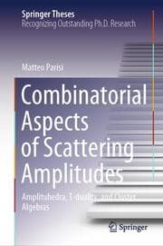 Cover von Combinatorial Aspects of Scattering Amplitudes