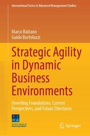 Cover von Strategic Agility in Dynamic Business Environments