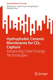 Cover von Hydrophobic Ceramic Membranes for CO2 Capture