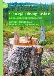 Cover von Conceptualising Justice